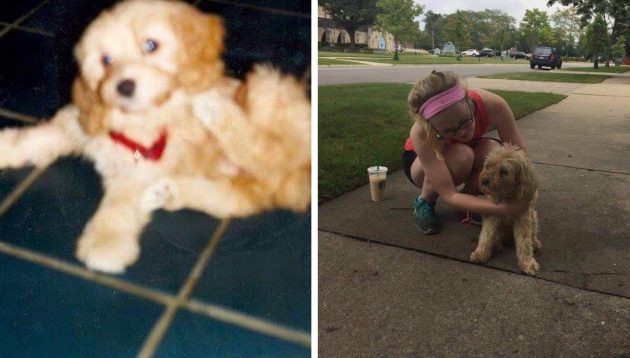 เรื่องราวของหญิงสาวที่ต้องจากสุนัขแสนรักไปตลอดกาล แต่ 11 ปีต่อมาเธอกลับได้พบมันอีกครั้ง