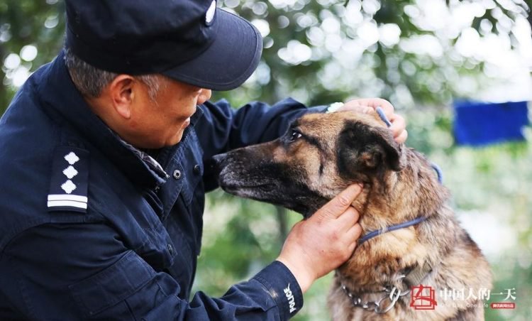 น่าชื่นชม!! ตำรวจจีนใช้เงินกว่า 3.9 ล้าน สร้างบ้านพักให้กับสุนัขตำรวจชราที่ปลดเกษียณแล้ว