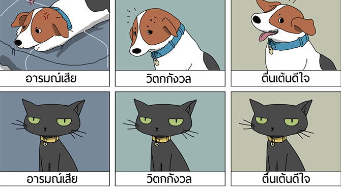 18 ภาพการ์ตูนจากชาวเน็ต ช่วยอธิบายความต่างของ ‘หมา-แมว’ ได้โคตรตรงเลยเจ้าน๊ายยย..!!