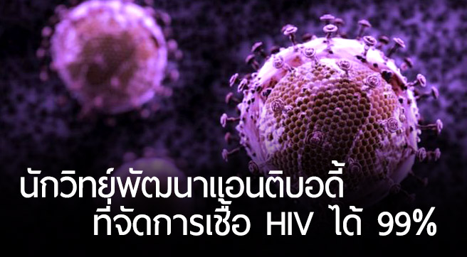 นักวิทย์เผยการค้นพบ “ตัวฆ่า HIV” หลังพัฒนาแอนติบอดี้ ที่สามารถจัดการเชื้อได้ถึง 99%!!