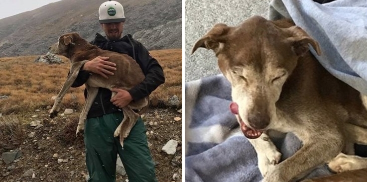 คู่รักนักปีนเขาร่วมใจทำภารกิจช่วยเหลือชีวิต ‘น้องหมา’ ที่ติดอยู่บนเขามานานถึง 6 สัปดาห์
