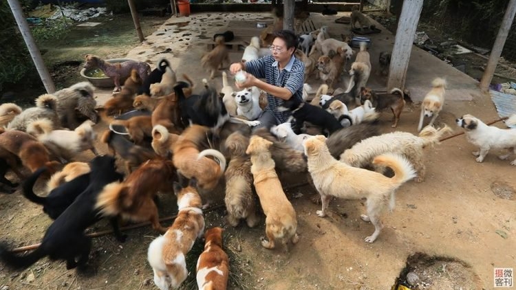 พ่อพระของเหล่าสุนัข ผู้ช่วยเหลือพวกมันมาแล้วกว่า 700 ตัว ตลอดระยะเวลา 8 ปี