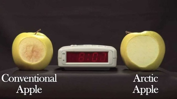 ปฏิวัติวงการ!! แคนาดาคิดค้น ‘Arctic Apple’ แอปเปิ้ลที่ไม่เปลี่ยนสี แม้จะถูกผ่าหรือทำให้ช้ำ!!