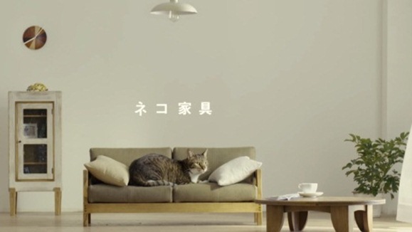 บริษัทเฟอร์นิเจอร์จากญี่ปุ่น เปิดตัวเฟอร์นิเจอร์ “แมว” แบบครบชุด ดูซิ๊จะสู้กล่องลังได้ไหม