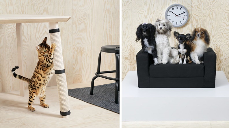 IKEA ออกผลิตภัณฑ์เฟอร์นิเจอร์ “หมา-แมว” ตามเทรนด์คนเลี้ยง ชาวเน็ตว๊าวกันใหญ่