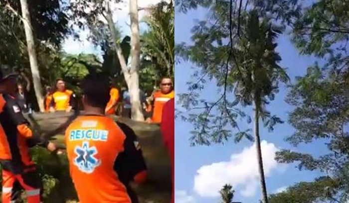 ครอบครัวเร่งช่วยเหลือชายชาวฟิลิปปินส์ที่ขึ้นไปอยู่บนต้นมะพร้าวเป็นเวลานานกว่า 3 ปี!?