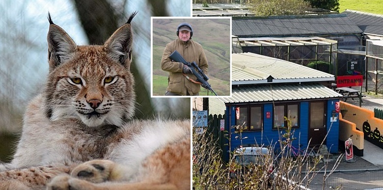 สวนสัตว์เดือด หลังเจ้าหน้าที่รัฐสั่งให้ฆ่าแมวป่าที่หลุดออกไป เพราะกลัวมันไปทำร้ายมนุษย์