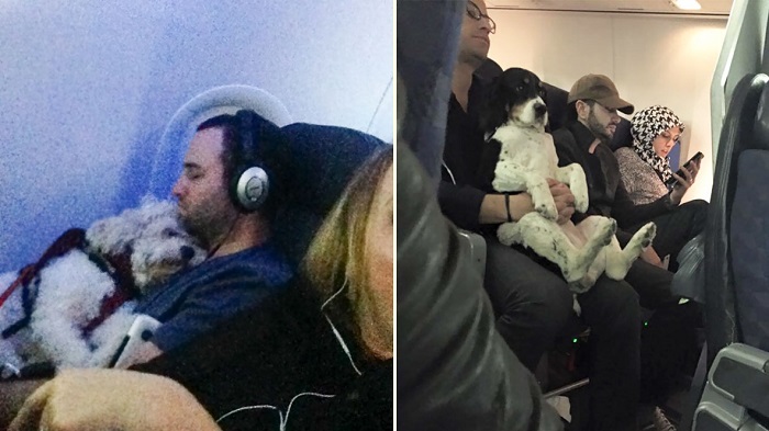 รวมสุดยอดภาพผู้โดยสารสุดแปลก ที่ชาวเน็ตบังเอิญเจอระหว่างนั่งเครื่องบิน…