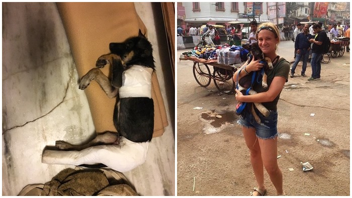 บุญแท้!! สาวอาสาสมัครไปเที่ยวอินเดีย ได้ช่วยชีวิตหมาตัวหนึ่งแล้วนำกลับมาเลี้ยงซะเลย