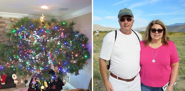 ก็คนมันรัก!! ครอบครัวหนึ่งใช้ต้นคริสต์มาส “ต้นเดิม” มากว่า 34 ปี และที่สำคัญคือมันยังมีชีวิตอยู่