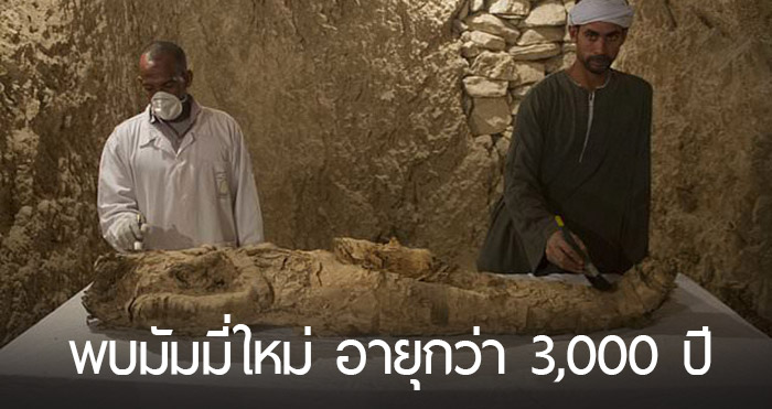 นักโบราณคดีพบมัมมี่อายุ 3,500 ปี ในสุสาน คาดว่ามีความพิเศษมากกว่าที่เคยค้นพบมา
