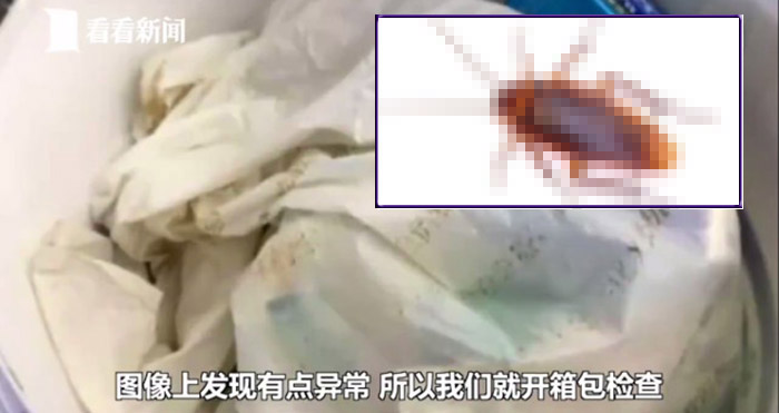 คู่รักสูงวัยชาวจีน แอบลักลอบนำแมลงสาบเป็นๆ กว่า 200 ตัวเข้าสนามบิน อ้างไปทำครีมบำรุงผิว