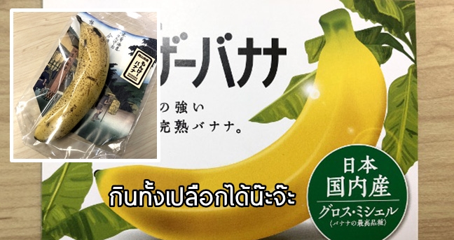 กล้วยแบบใหม่จากญี่ปุ่น ที่ให้คุณ “กินได้ทั้งเปลือก”!? เพื่อลดขยะและสารอาหารที่เต็มเปี่ยม
