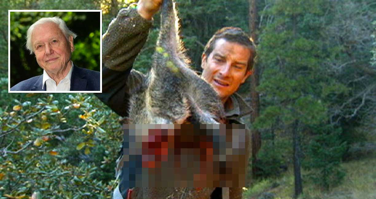พิธีกรรายการดังออกมาวิจารณ์ “แบร์ กริลส์” เรื่องที่เขาออกมาฆ่าสัตว์ออกทีวีอยู่บ่อยครั้ง