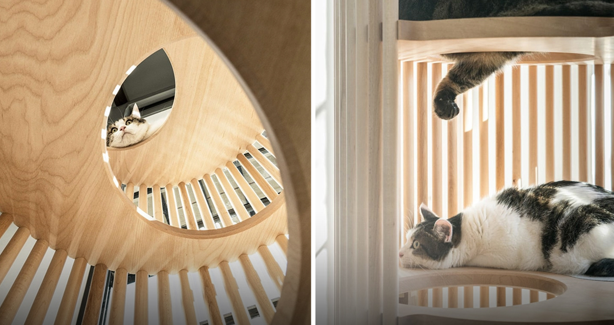 ดีไซเนอร์ญี่ปุ่นออกแบบเฟอร์นิเจอร์สำหรับแมวโดยเฉพาะ เหมาะสำหรับบ้านสไตล์มินิมอล