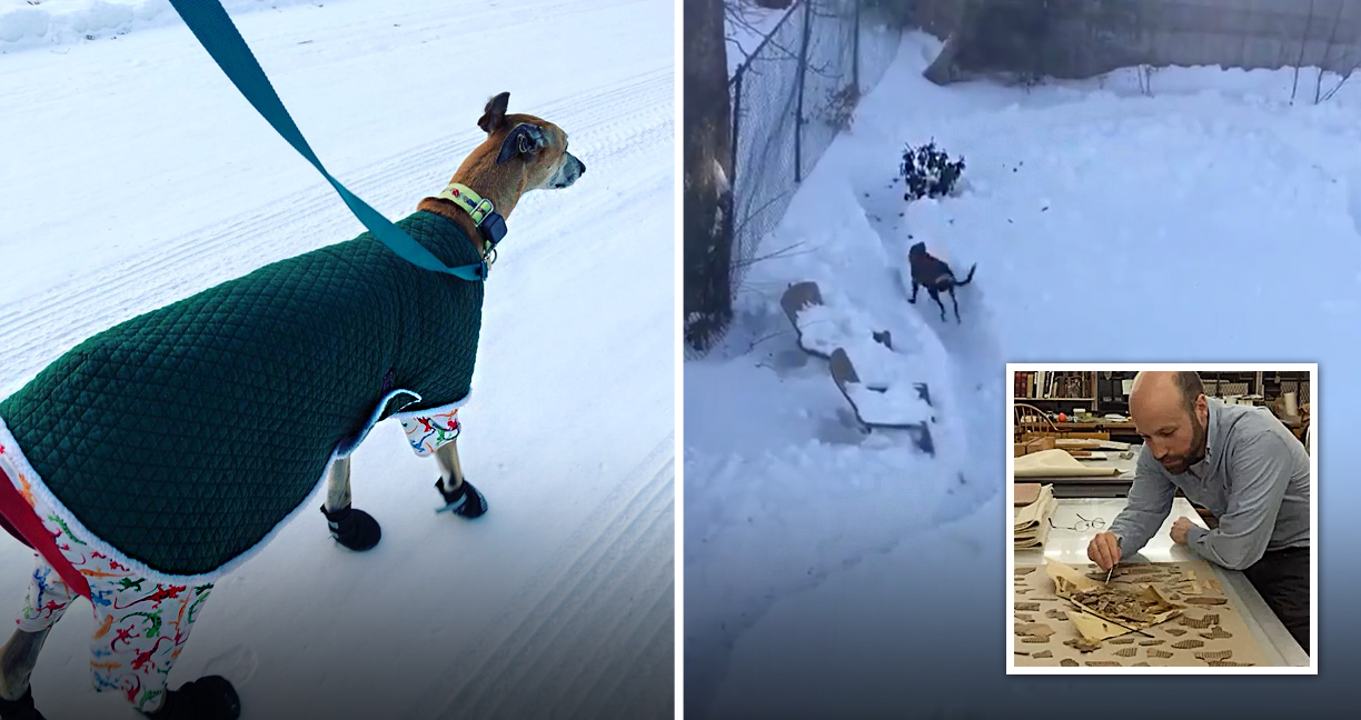 คู่รักสร้างสนามรถแข่งสูตร 1 บนหิมะให้กับหมา แล้วดูมันวิ่งสิ ซิ่งไปเลยสายฟ้าาาาาาาา