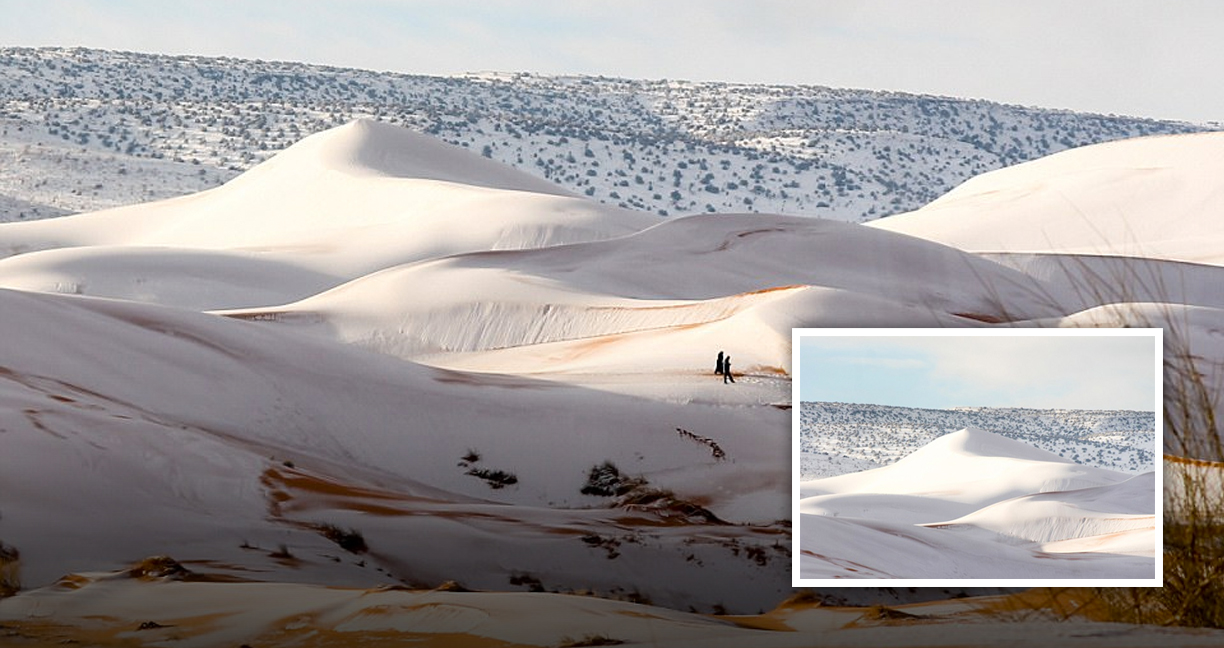 ภาพอันแปลกตาของ ‘ทะเลทรายซาฮารา’ ที่ถูก ‘หิมะ’ ปกคลุมเป็นครั้งที่ 3 ในรอบ 40 ปี