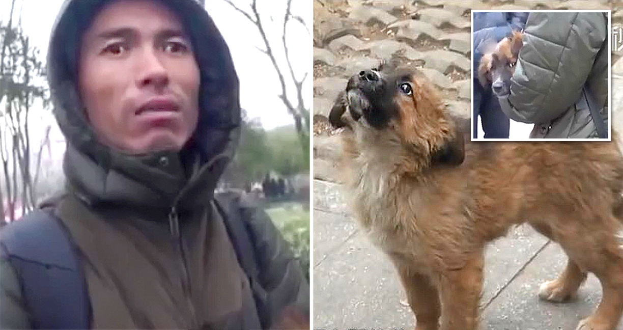 หนุ่มยืนรอหน้าสถานีรถไฟนานถึง 3 วัน เพื่อรอคอยคนใจดีมารับน้องหมาไปเลี้ยง