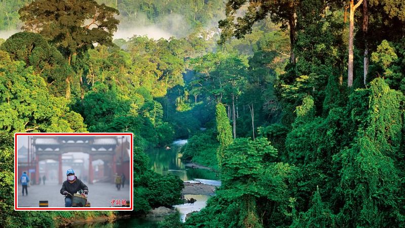 ปี 2018 จีนวางแผนปลูกป่าเพิ่ม 41 ล้านไร่ เนื้อที่เท่า “ภาคใต้ของไทย” เพื่อแก้ไขปัญหาหมอกควัน
