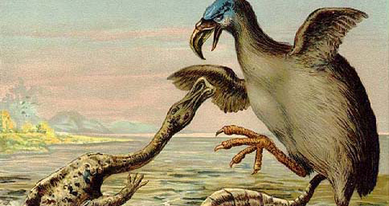 Phorusrhacidae ตระกูลนกสุดโหดในยุคก่อนประวัติศาสตร์ที่มวลมนุษยชาติจะถือกำเนิดขึ้น!!