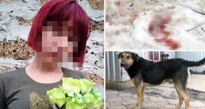 เด็กหญิงวัย 12 ปี หายจากบ้านไป จนพบว่าโดนหมาจรจัดรุมกัดเสียชีวิต