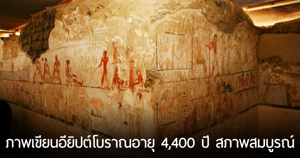 นักโบราณคดีพบภาพเขียนฝาผนังอายุ 4,400 ปี สภาพสมบูรณ์ ในสุสานอียิปต์โบราณ