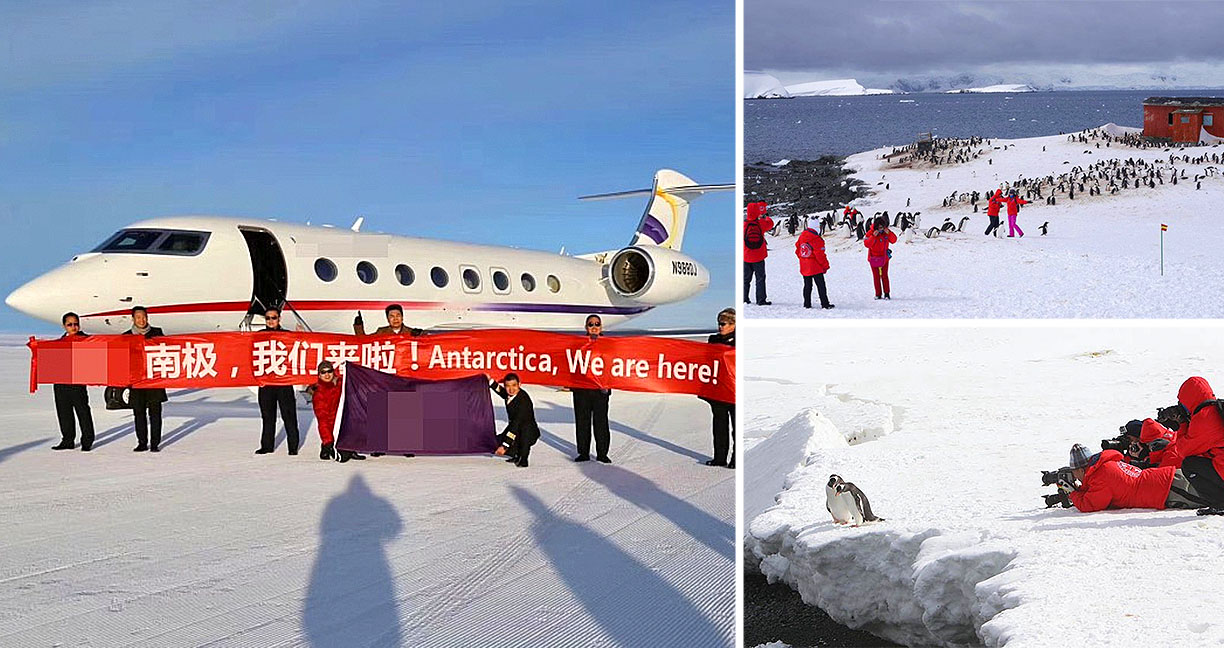 ทางการจีนเตือนนักท่องเที่ยว ที่จะไปเที่ยวที่ทวีปแอนตาร์กติกาว่าอย่าเอามือไปจับเพนกวิน