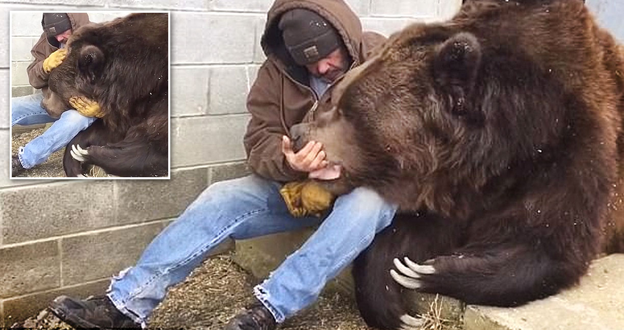 “กอดน้องแหน่อ้าย” หมีตัวใหญ่ ขออ้อนมนุษย์ด้วยการกอด ก็น้องอยากเล่นด้วยอ่ะ…