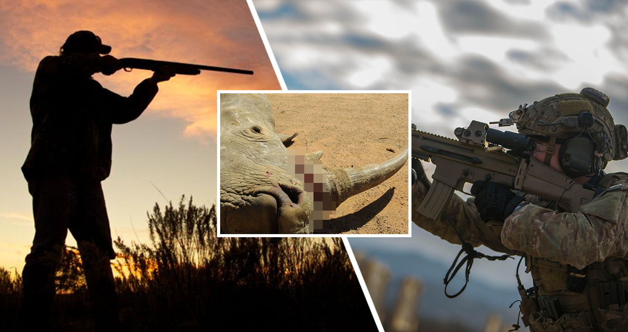 ทหารประเทศอังกฤษเตรียมกองกำลัง เข้าร่วมต่อต้าน “การล่าสัตว์ผิดกฎหมาย” ในแอฟริกา