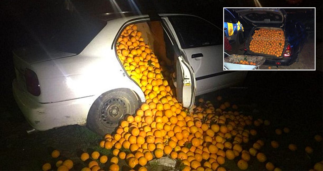 มหากาพย์โจรกรรม ‘ส้ม’  4,400 กิโล เนียนยัดใส่รถ 3 คันหลบตำรวจ แต่ไม่รอดหร๊อกกก