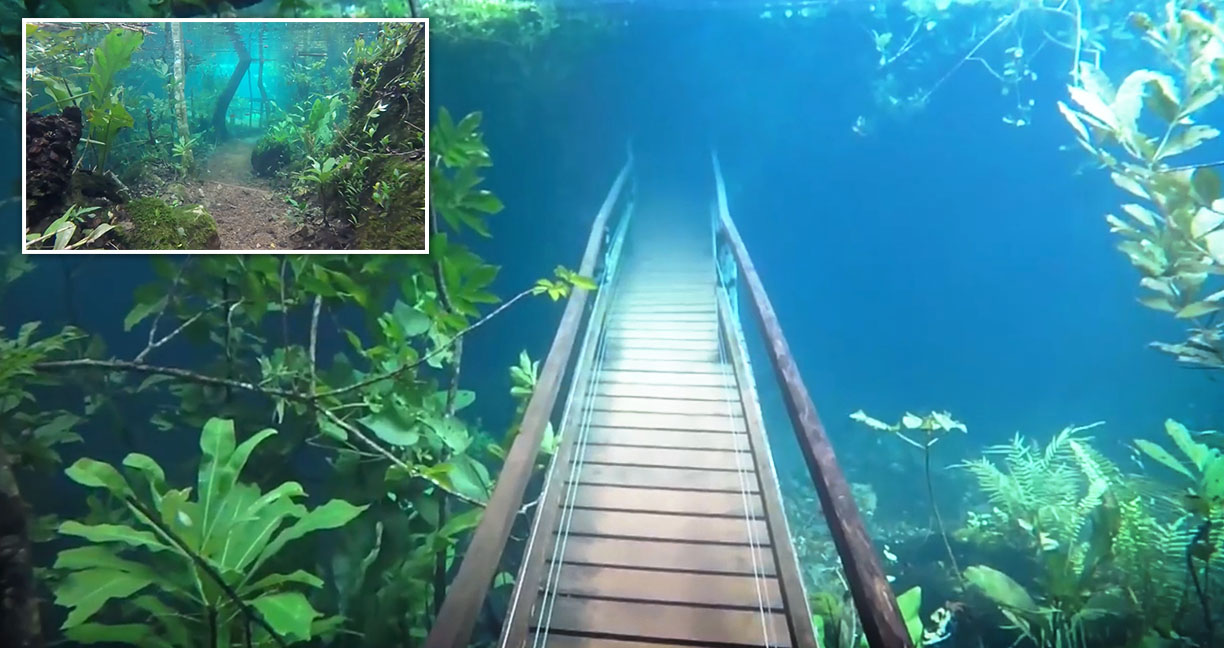 ตื่นตาตื่นใจไปกับกิจกรรม ‘เดินป่าใต้น้ำ’ ที่บราซิล มันช่างงดงามราวกับดินแดนในเทพนิยาย