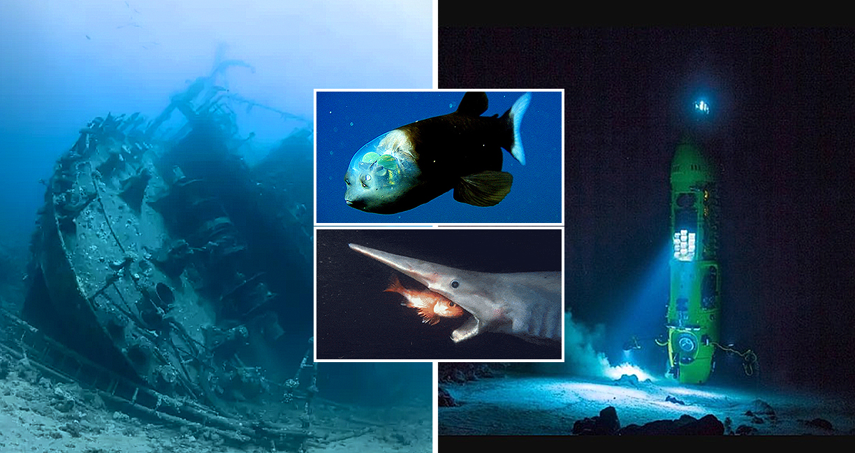 23 สาระเกี่ยวกับ “มหาสมุทร” พาดำดิ่งลึกลงไป พิสูจน์ให้คุณรู้ว่าโลกใต้น้ำนั้นยิ่งใหญ่แค่ไหน…