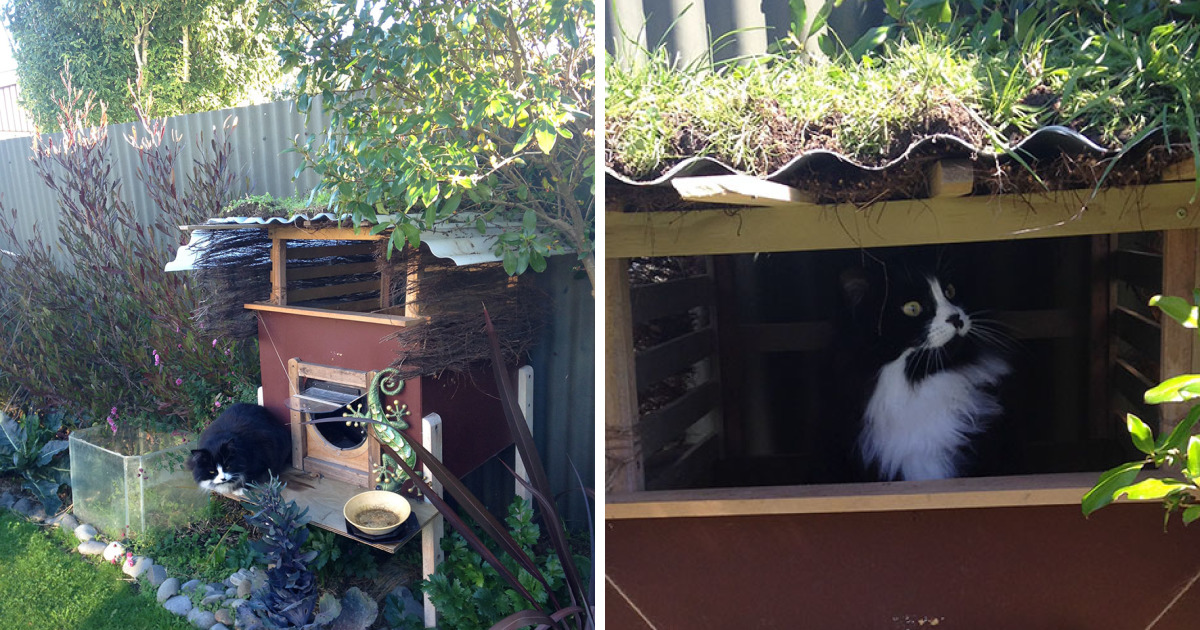 รีวิวสร้างบ้านแมวในสวนหลังบ้าน สำหรับแมวสายรักธรรมชาติ เขียวๆ แบบนี้พี่ชอบ