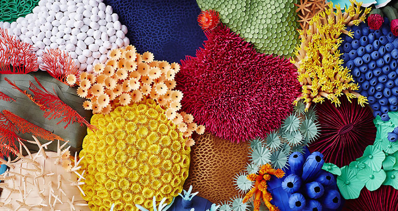 ศิลปินสร้างแนวประการังจาก ‘กระดาษ’ ผลออกมาดูสวยงาม สมจริง ราวกับอยู่ใต้ท้องทะเล!!