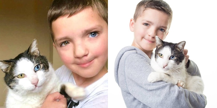 เด็กชายตาสองสี ปากแหว่ง ตัดสินใจรับเลี้ยงแมวตาสองสีและปากแหว่งเหมือนกัน
