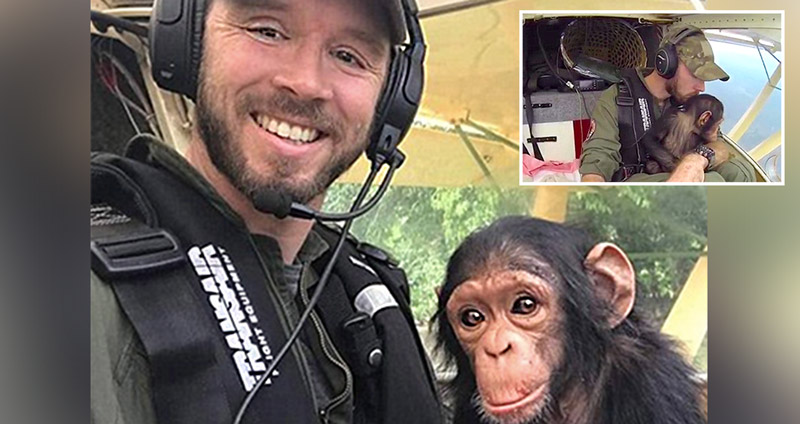 ลูกลิงชิมแปนซีทำหน้าที่ผู้ช่วยนักบิน ขณะหนุ่มพาขึ้นเฮลิคอปเตอร์ไปบ้านใหม่