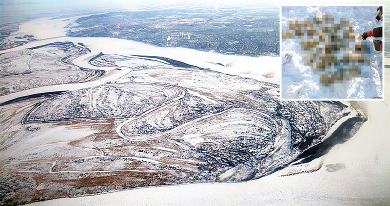 ชาวบ้านขนพองสยองเกล้า เมื่อขุดพบ ‘มือมนุษย์’ ที่ถูกตัด 54 ข้าง ฝังไว้ใต้หิมะในรัสเซีย