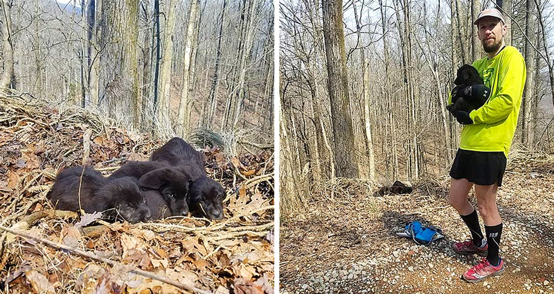 นักวิ่งได้ยินเสียงดังจากในป่า เข้าไปดูพบเป็นลูกหมาถูกทิ้ง 5 ตัว เลยช่วยชีวิตมันไว้