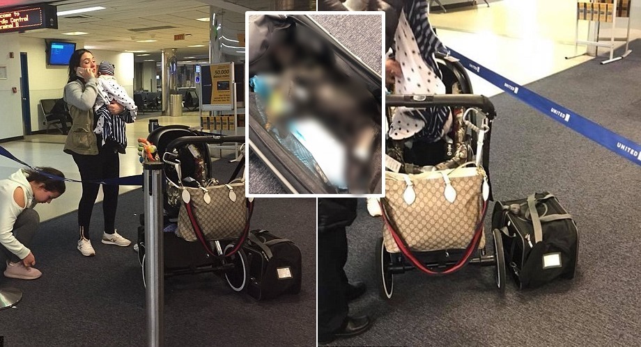 สุนัขเฟรนช์บลูด็อกตายบนเครื่องบิน หลังถูกสั่งให้เก็บกระเป๋าสัตว์เลี้ยง ในช่องสัมภาระเหนือศีรษะ…
