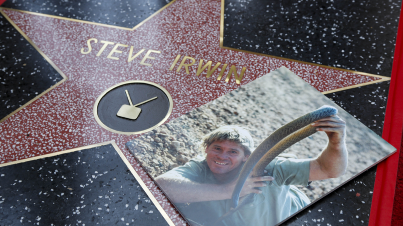 ปลื้มปริ่ม!!  Steve Irwin ได้รับเกียรติประทับชื่อใน Hollywood Walk Of Fame แล้ว