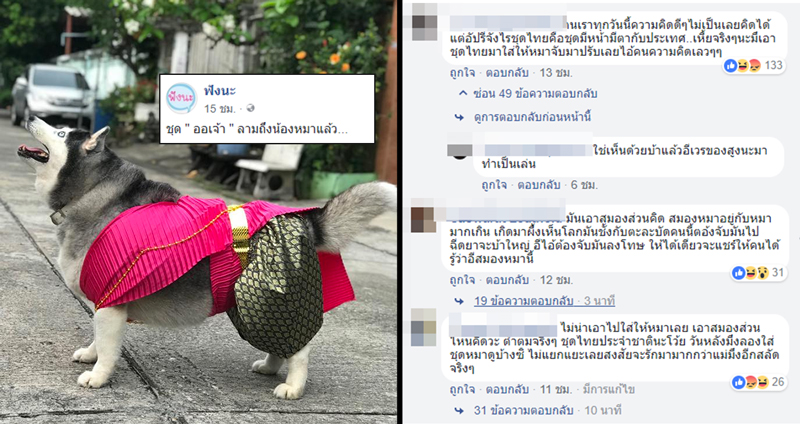 ชาวเน็ตวิจารณ์ ภาพ ‘น้องหมาสวมชุดไทย’ ตามรอยออเจ้า บอกชุดไทยสูงค่าไม่ควรให้หมาใส่