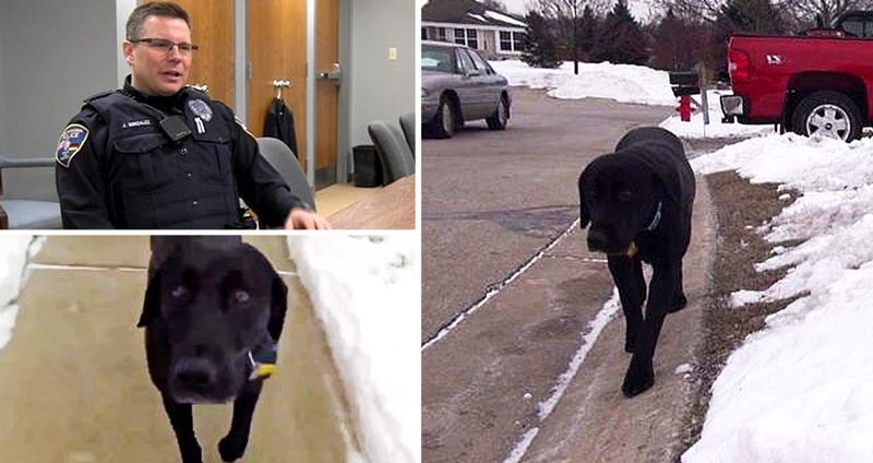 สุนัขแสนรู้นำทางตำรวจไปช่วยเจ้าของที่กำลังนอนหมดสติ จนรอดพ้นอันตราย