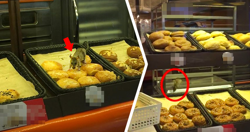 แทบอ้วก..สาวถ่ายคลิป ‘เจ้าหนู’ กำลังกินขนมปังอยู่ในตู้โชว์หน้าร้าน อย่างเอร็ดอร่อย!!