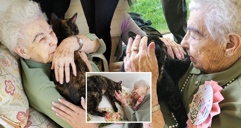 คุณยายวัย 103 ปี ถูกเซอร์ไพรส์ด้วย ‘แมวเหมียว’ ผู้เข้ามาเติมเต็มสิ่งที่ขาดให้เธอ