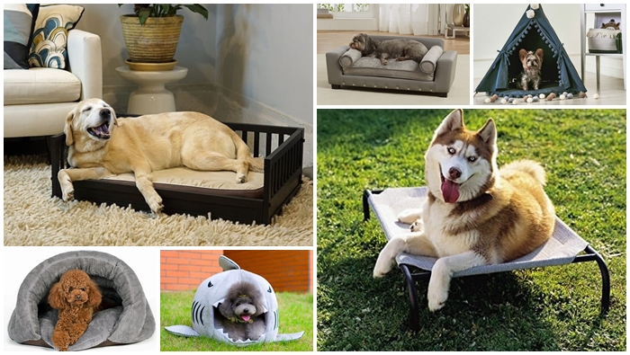 ‘ที่นอนหมา’ เก๋ๆ จากเว็บไซต์ Amazon ที่คุณสามารถสอยมาให้น้องหมาได้ง่ายๆ