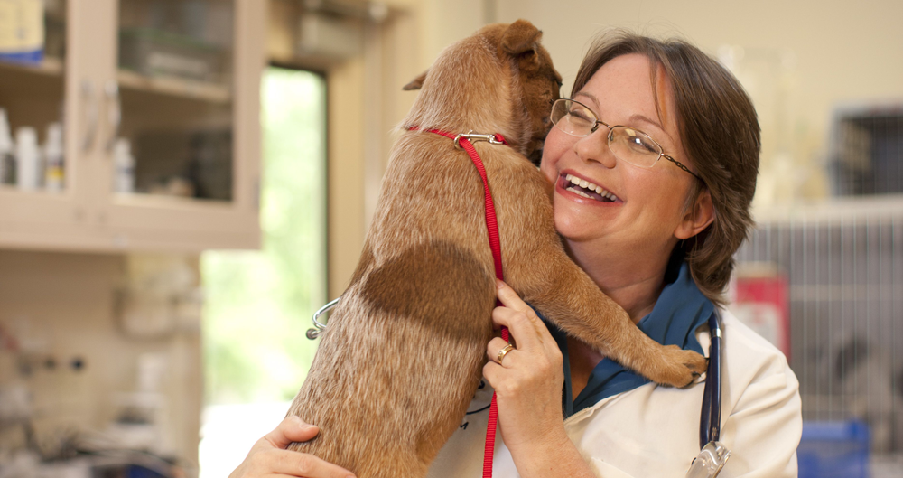 ทีมสัตวแพทย์โอบกอดสุนัขที่เพิ่งผ่านการผ่าตัด เพื่อทำให้พวกมันรู้สึกอบอุ่นและสบายใจ