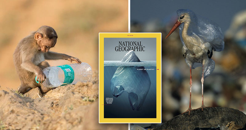 หน้าปกนิตยสาร Nat Geo กับความหมายสุดลึกล้ำ แฝงไปด้วยความเจ็บปวดของธรรมชาติ…