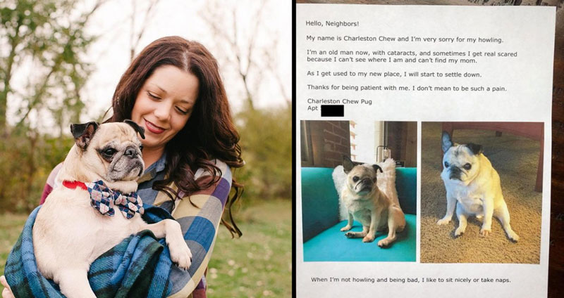 หญิงสาวเขียนโน้ตขอโทษเพื่อนบ้าน ที่ “หมาแก่” ของเธอ หอนเสียงดังบ่อยๆ