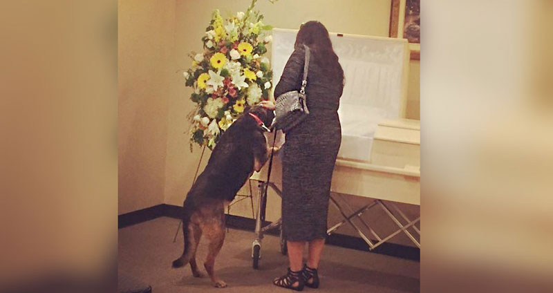 สุนัขสุดเศร้า มันจึงถูกพาเข้าไปในงานศพ เพื่อบอกลาเจ้าของเป็นครั้งสุดท้าย…