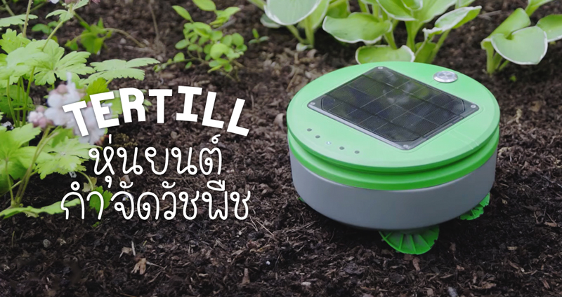 Tertill หุ่นยนต์กำจัดวัชพืชพลังแสงอาทิตย์ อนาคตของการทำสวนด้วยหุ่นยนต์ที่ง่ายขึ้น